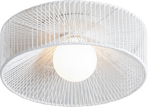 Изображение товара Потолочный светильник Freya Cottage FR5405CL-01W