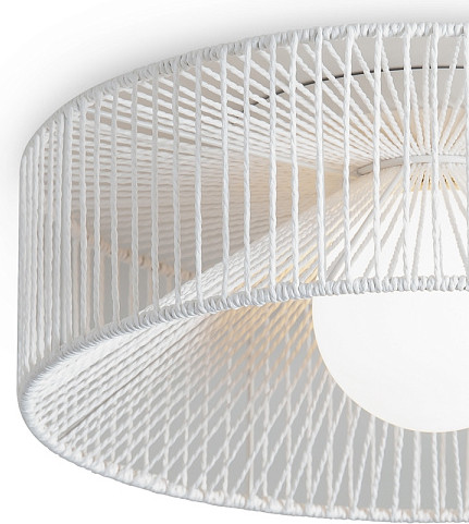 Изображение товара Потолочный светильник Freya Cottage FR5405CL-01W