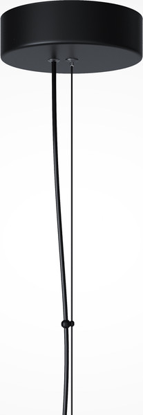 Изображение товара Потолочный светильник Maytoni Bruma MOD397PL-L14B3K