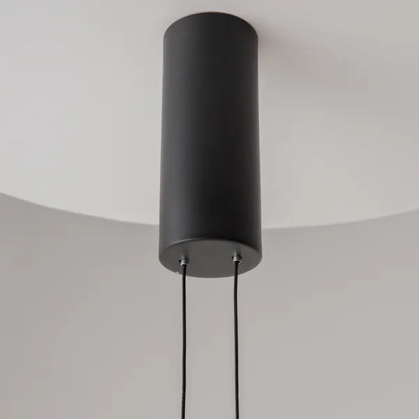Изображение товара Потолочный светильник Maytoni Evolution MOD396PL-L10W3K