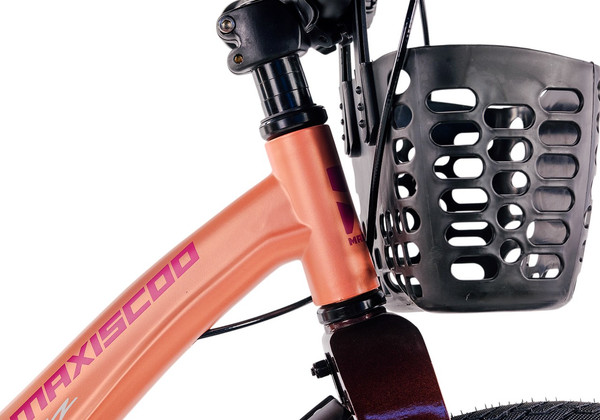 Изображение товара Детский велосипед Maxiscoo Jazz Pro 18 2025 / MSC-J1841P (пудра, разобранный, в коробке)