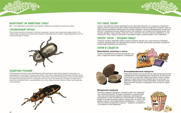 Изображение товара Комикс Эксмо Утраченные легенды. Выпуск 3. Приключения с каппой (Sherlock, твердая обложка)