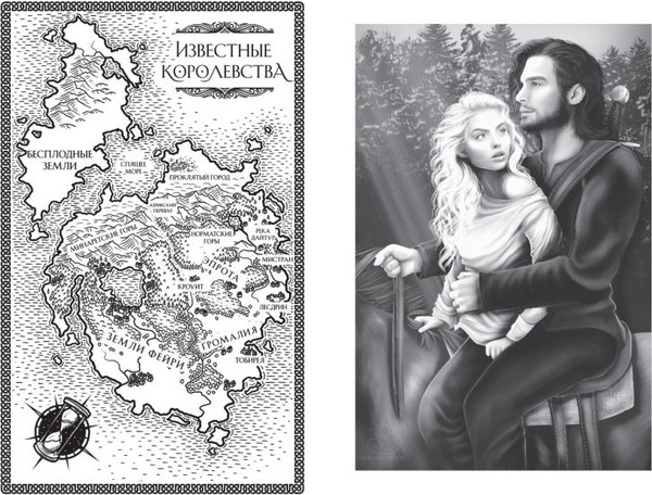 Изображение товара Книга FreeDom Двор очаровательный и жестокий, твердая обложка (Старк Стасия)