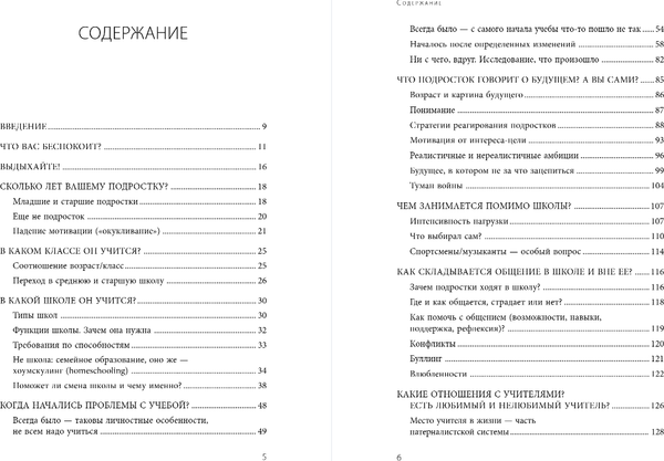 Изображение товара Книга Бомбора Чертова школа! Как перестать мучиться из-за учебы (Карпов Никита)