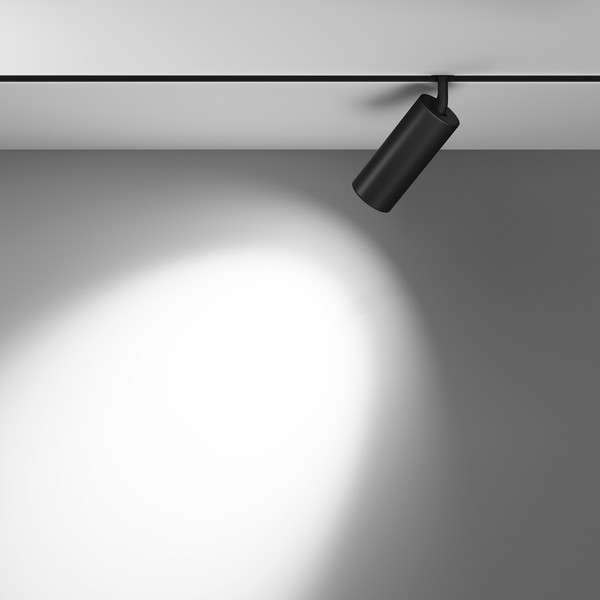 Изображение товара Трековый светильник Maytoni Focus Led TR032-4-20WTW-M-DSZ-B