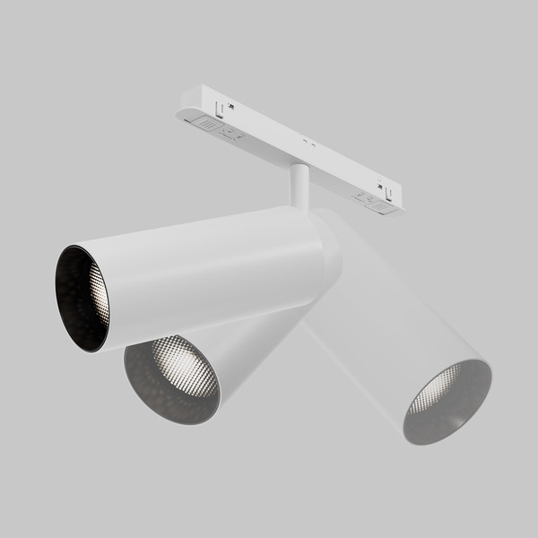 Изображение товара Трековый светильник Maytoni Focus Led TR032-4-20WTW-M-DSZ-W