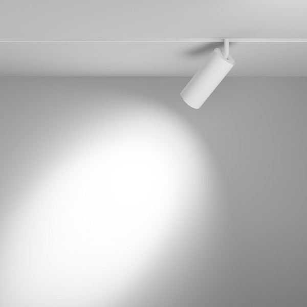Изображение товара Трековый светильник Maytoni Focus Led TR032-4-20WTW-M-DSZ-W