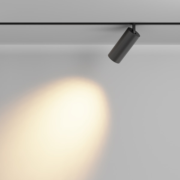 Изображение товара Трековый светильник Maytoni Focus Led TR032-2-20W2.7K-M-B