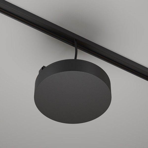 Изображение товара Адаптер для шинопровода Maytoni TRA172DR-100W-DD-B