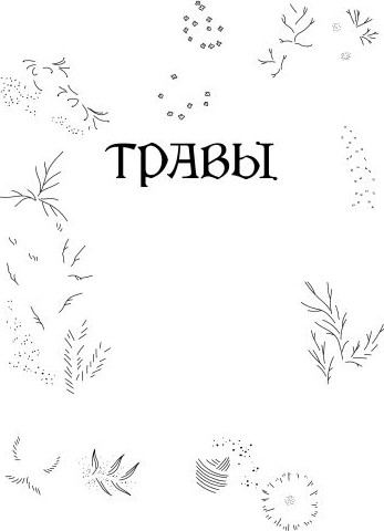 Изображение товара Книга Эксмо Травы. Магические запасы (Георге Э. 9785041966041)