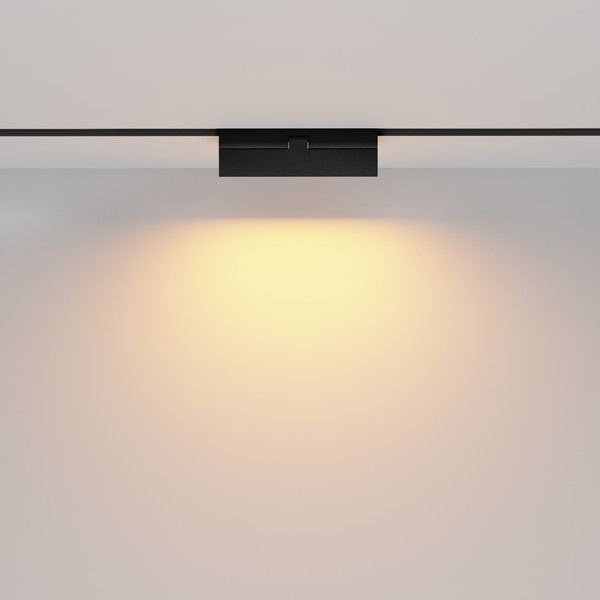Изображение товара Трековый светильник Maytoni Basis TR036-2-12W2.7K-B