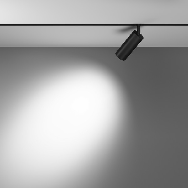 Изображение товара Трековый светильник Maytoni Focus Led TR032-4-12WTW-M-DD2-B
