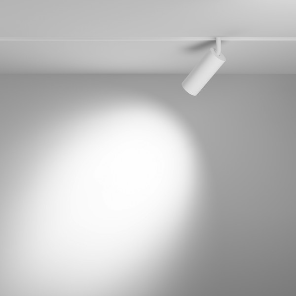 Изображение товара Трековый светильник Maytoni Focus Led TR032-4-12WTW-M-DD2-W
