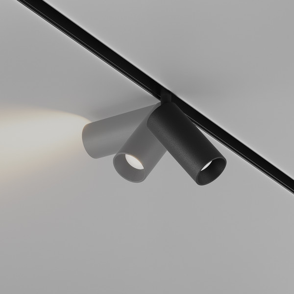 Изображение товара Трековый светильник Maytoni Focus Led TR032-4-5WTW-M-DD2-B