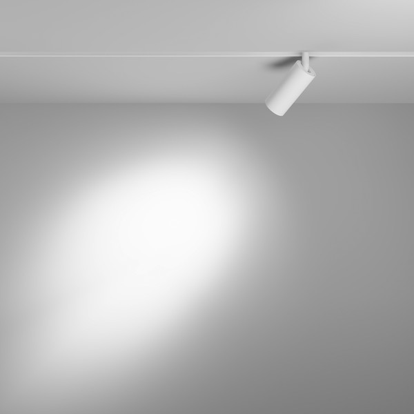 Изображение товара Трековый светильник Maytoni Focus Led TR032-4-5WTW-M-DD2-W