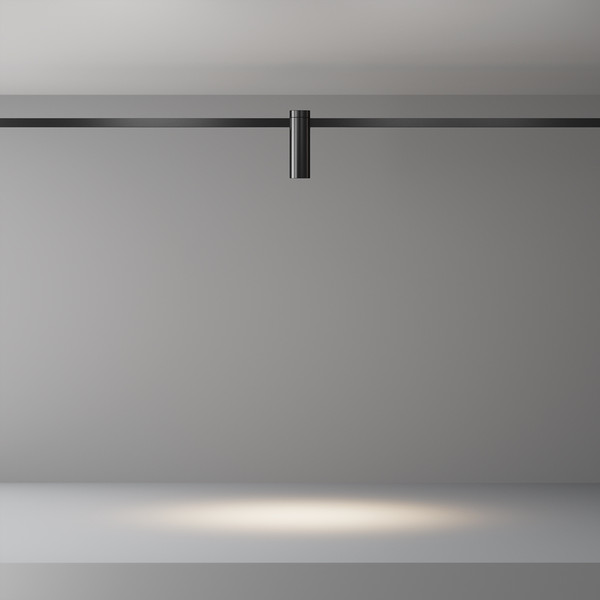 Изображение товара Трековый светильник Maytoni Focus Led TR143-1-5W4K-W-B