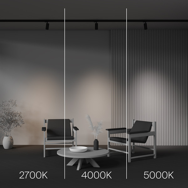 Изображение товара Трековый светильник Maytoni Focus Led TR197-3-12WCCT-M-B