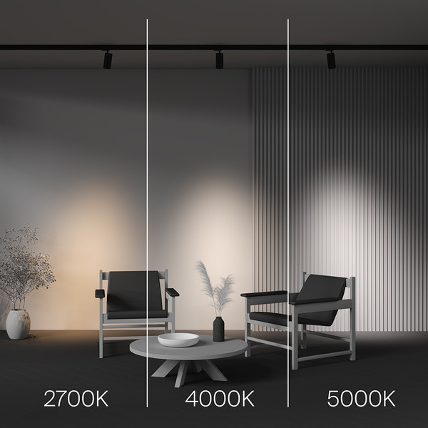 Изображение товара Трековый светильник Maytoni Focus Led TR197-3-20WCCT-M-B