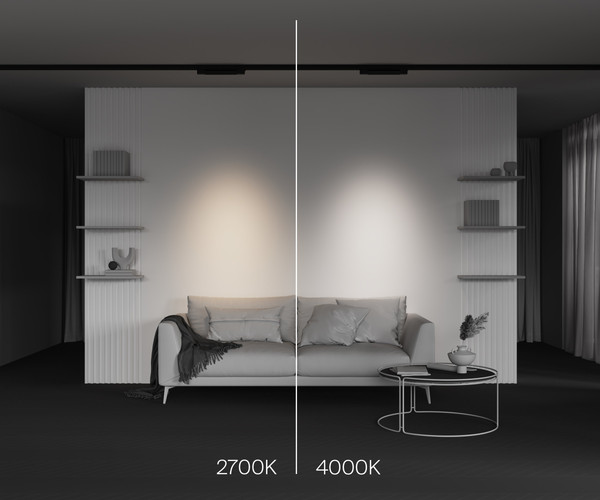 Изображение товара Трековый светильник Maytoni Points TR195-3-10W4K-M-B