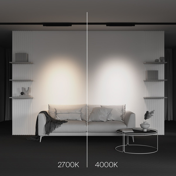 Изображение товара Трековый светильник Maytoni Points TR195-3-20W4K-M-B