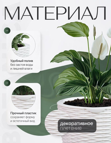 Изображение товара Вазон BOTANICA Ratan с автополивом (13.8x14см, белый)