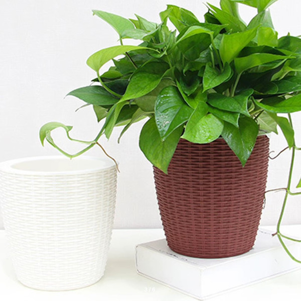 Изображение товара Вазон BOTANICA Ratan с автополивом (18.3x17.5см, коричневый)