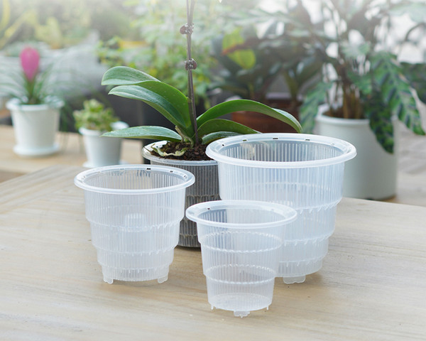 Изображение товара Вазон BOTANICA Mesh для орхидей (2л, 17.5x15.5см)