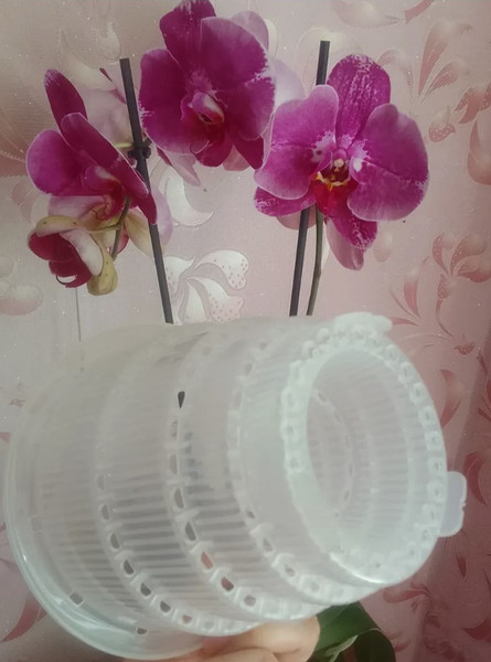 Изображение товара Вазон BOTANICA Mesh для орхидей (2л, 17.5x15.5см)