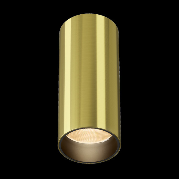 Изображение товара Точечный светильник Maytoni Focus Led C056CL-L12W2.7K-W-BS