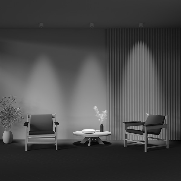 Изображение товара Точечный светильник Maytoni Lens C217CL-15W3K-W