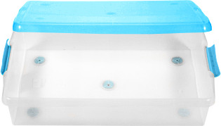 Изображение товара Контейнер для хранения Iris Thin Box / UG-725B (34л, прозрачный-голубой)