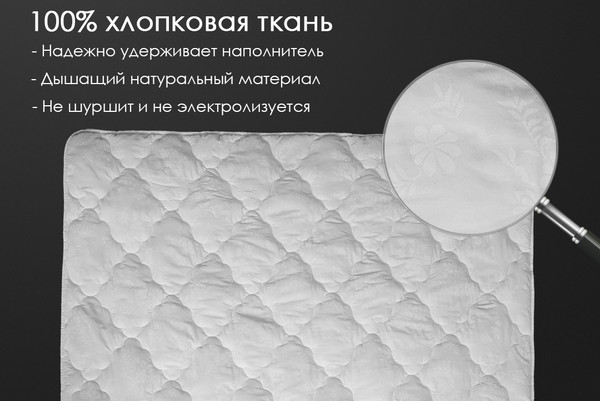 Изображение товара Одеяло Реноме 2сп Поплин 42/018н 172x205 (хлопок, 320)