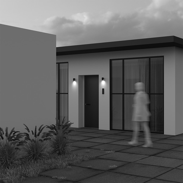 Изображение товара Бра уличное Maytoni Clyde O493WL-01B