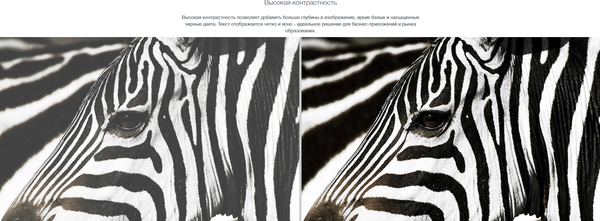 Изображение товара Проектор Optoma ZU607T