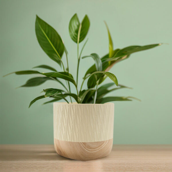 Изображение товара Кашпо Mandarin Decor Рустика / P18C23102B-12milk (молочный)