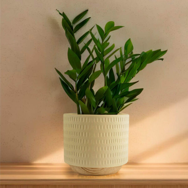 Изображение товара Кашпо Mandarin Decor Често / P18C23104B-12milk (молочный)