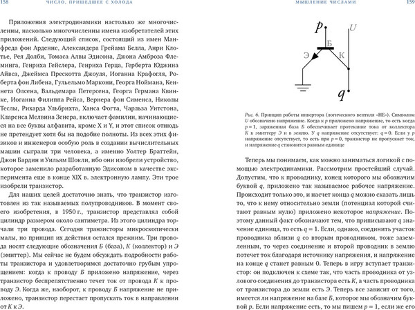 Изображение товара Книга КоЛибри Число, пришедшее с холода, твердая обложка (Ташнер Рудольф)