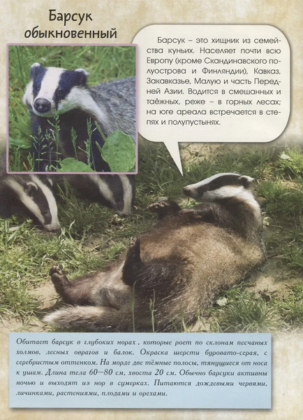 Изображение товара Энциклопедия Алтей Живой мир природы. Европа, твердая обложка
