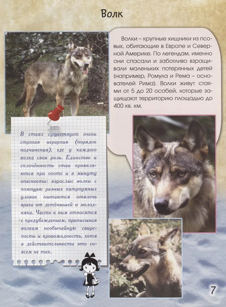Изображение товара Энциклопедия Алтей Живой мир природы. Европа, твердая обложка