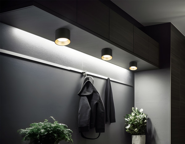 Изображение товара Точечный светильник Ambrella TN52887 SBK/SGD (черный песок/золото песок)