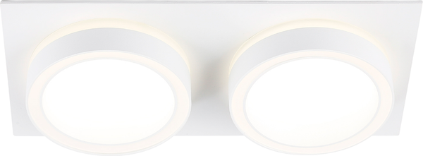 Изображение товара Точечный светильник Ambrella TN52423/2 WH/FR (белый/белый матовый)