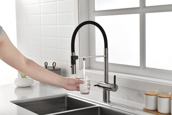 Изображение товара Смеситель Paulmark Gr213888-BS