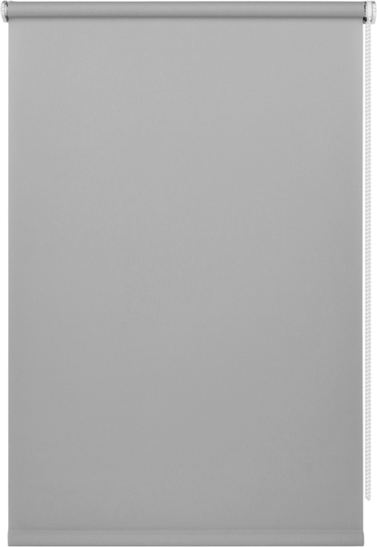 Изображение товара Рулонная штора Franc Gardiner Easy 65x250 / 8317000 (серый)