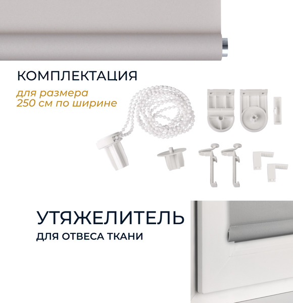 Изображение товара Рулонная штора Franc Gardiner Easy 65x250 / 8317000 (серый)