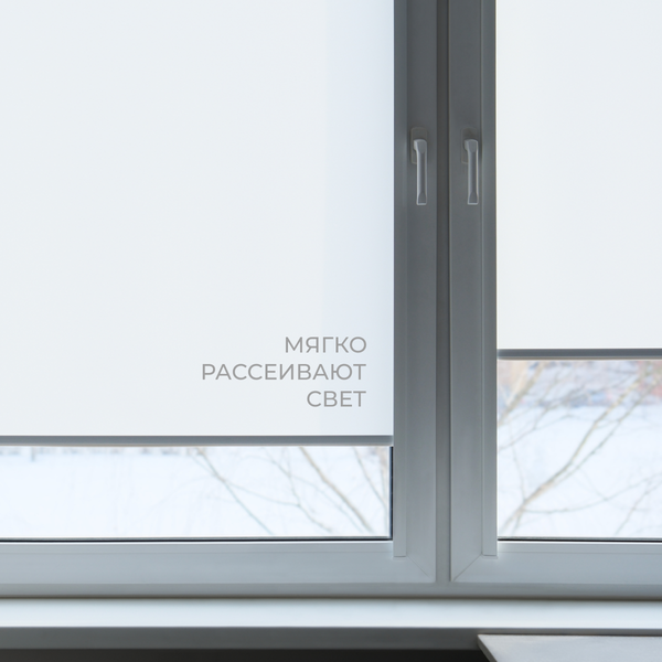 Изображение товара Рулонная штора Franc Gardiner Easy 65x250 / 8317000 (серый)