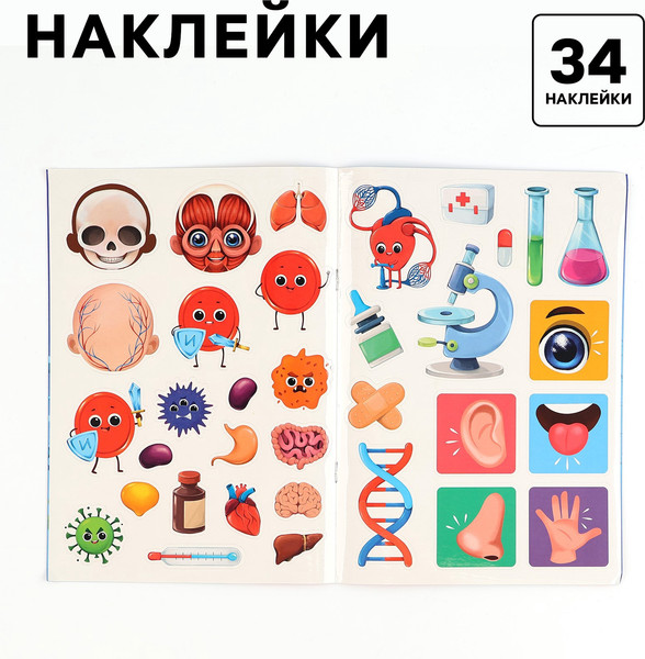 Изображение товара Развивающий игровой набор Лесная мастерская Тело человека / 10326645