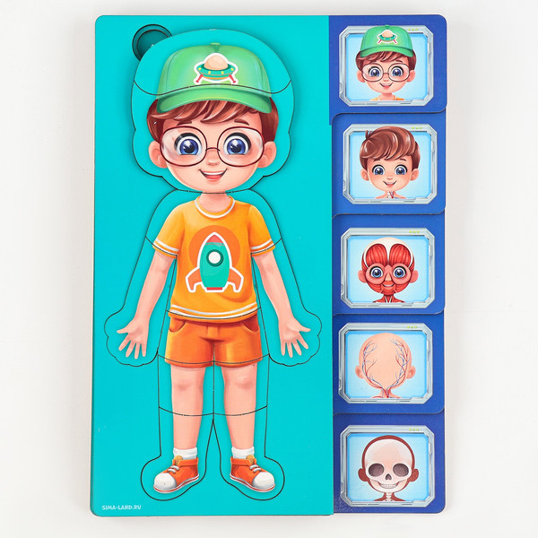 Изображение товара Развивающий игровой набор Лесная мастерская Тело человека / 10326645