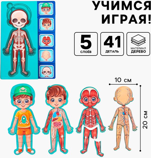 Изображение товара Развивающий игровой набор Лесная мастерская Тело человека / 10326645