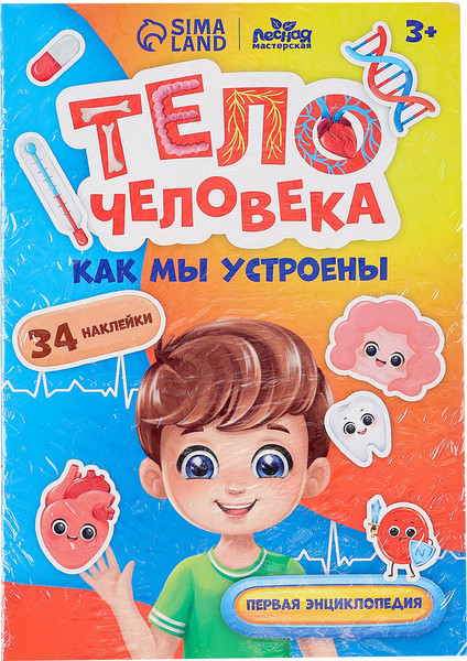 Изображение товара Развивающий игровой набор Лесная мастерская Тело человека / 10326645