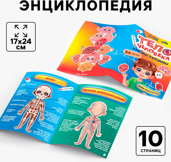 Изображение товара Развивающий игровой набор Лесная мастерская Тело человека / 10326645